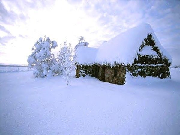 Paysage de neige