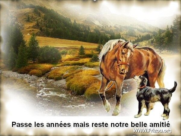 citation