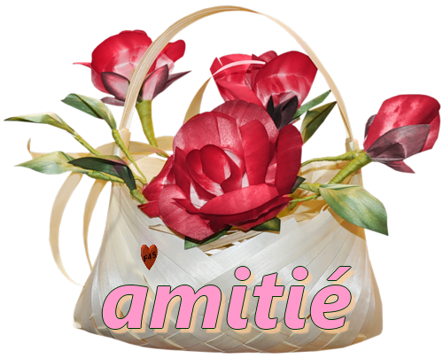 Amitié