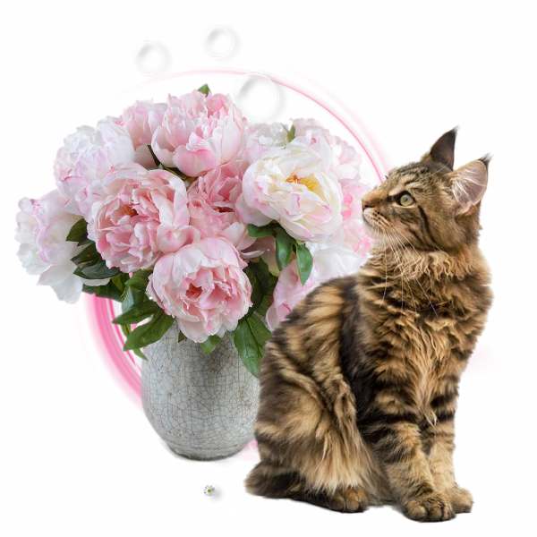 mon tube chat avec fleurs pour vos créas