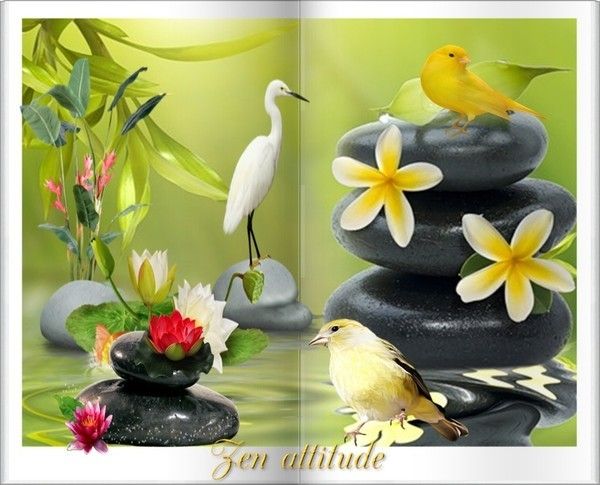 sublime j'adore merci beaucoup