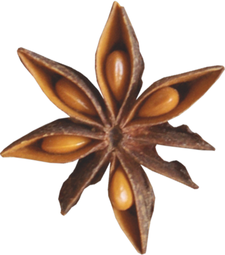 joli tube