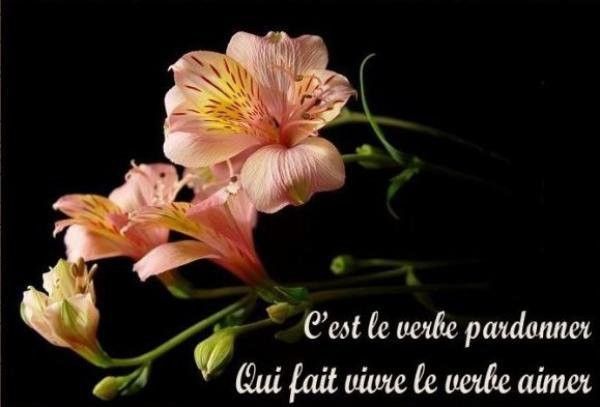 citation