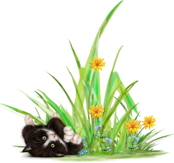 mon tube chat avec fleurs pour vos créas