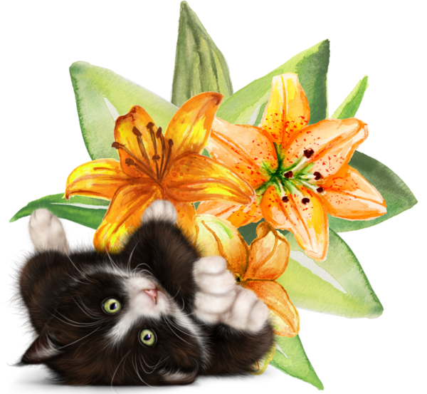 mon tube chat avec fleurs pour vos créas