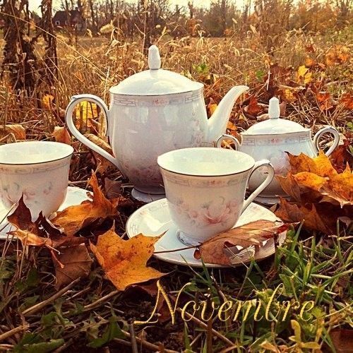 mois de novembre