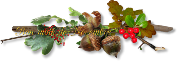 mon tube bon mois de novembre