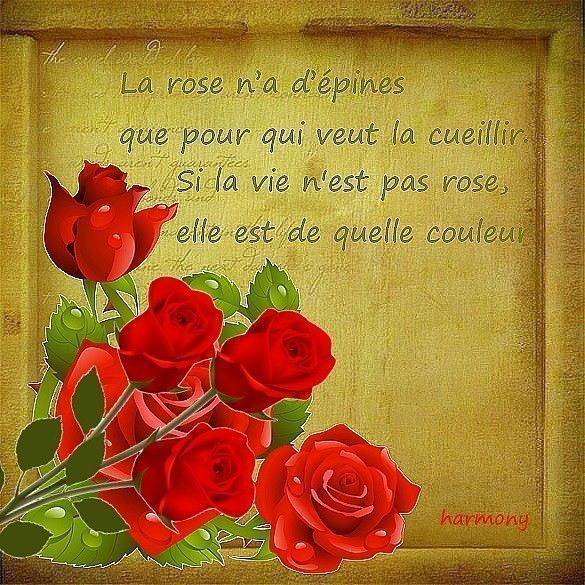 merci j'adore bisous