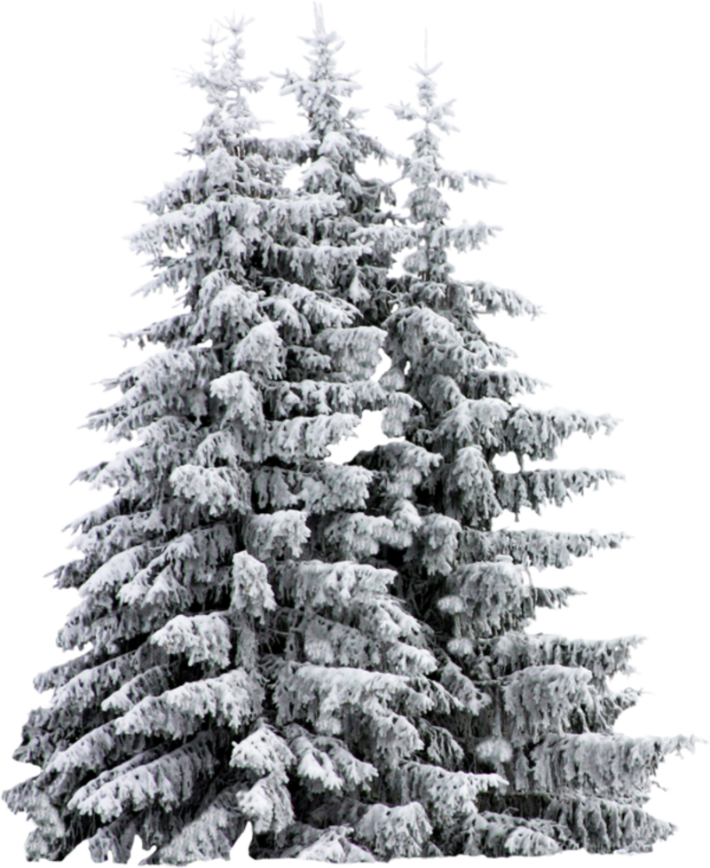 e475175e.png