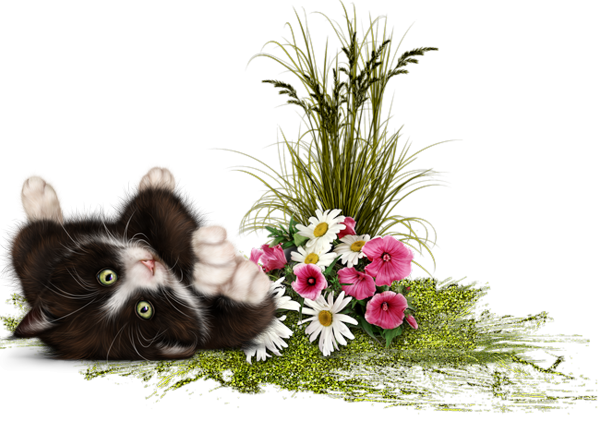 mon tube chat avec fleurs pour vos créas