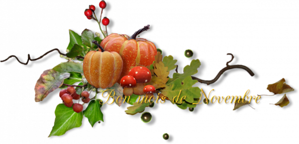 mon tube bon mois de novembre