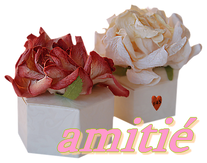 amitié