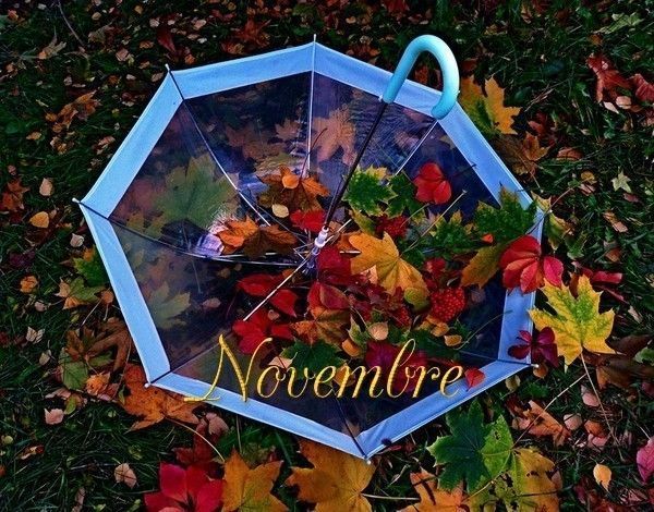 mois de novembre