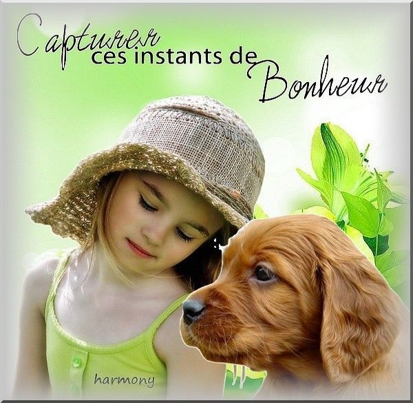 merci j'adore bisous