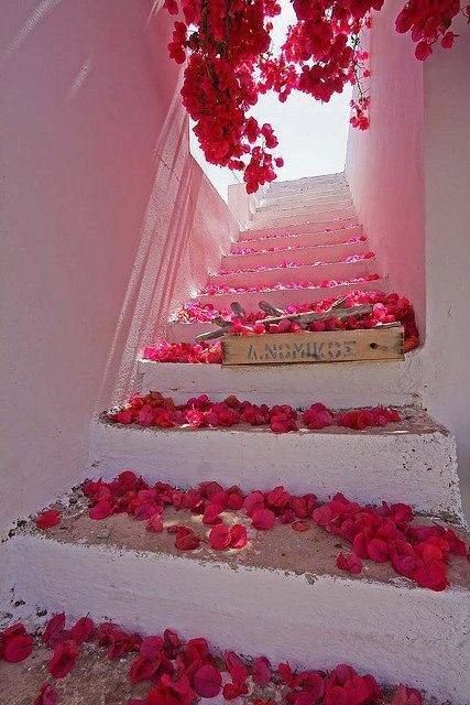 escalier recouver de pétales de roses