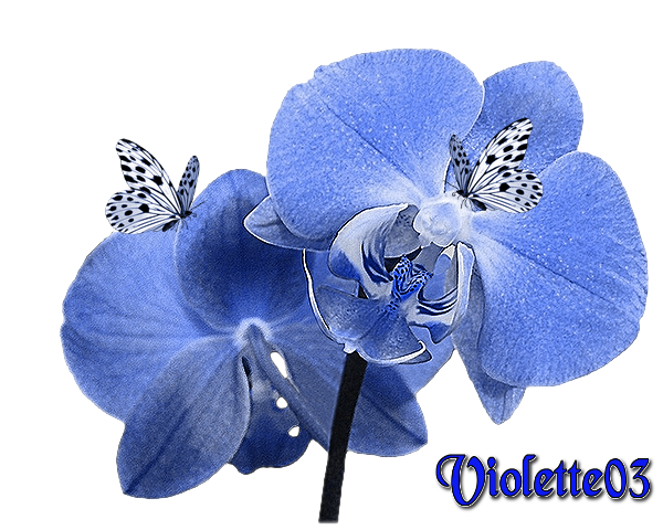 cadeau pour toi mon amie