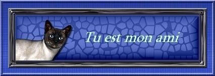 des petites plaques avec petits mots