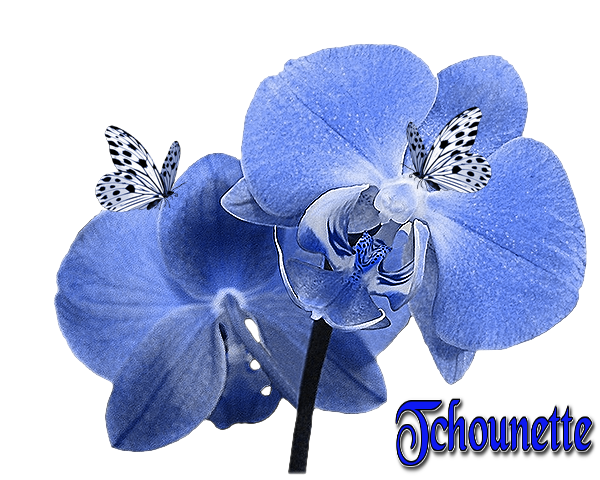 cadeau pour toi mon amie