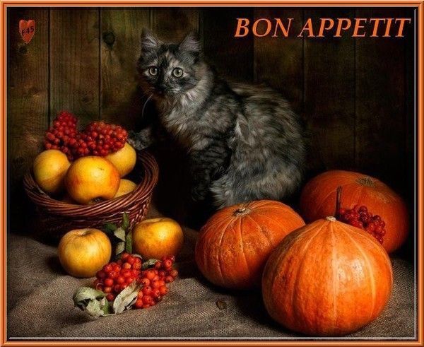 bon appêtit