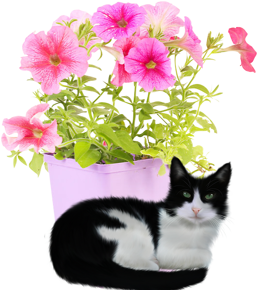 mon tube chat avec fleurs pour vos créas