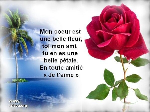 citation