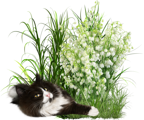 mon tube muguet pour vos créas