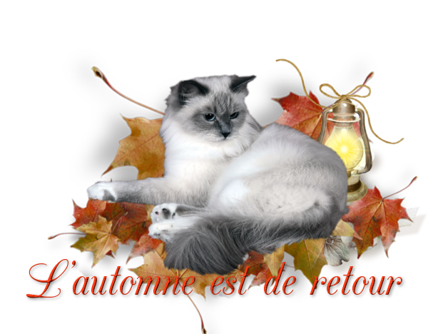 mon tube mot pour l'automne