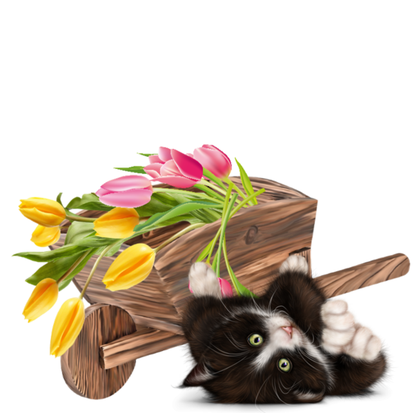 mon tube chat avec fleurs pour vos créas