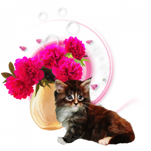 mon tube chat avec fleurs pour vos créas