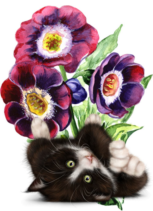 mon tube chat avec fleurs pour vos créas