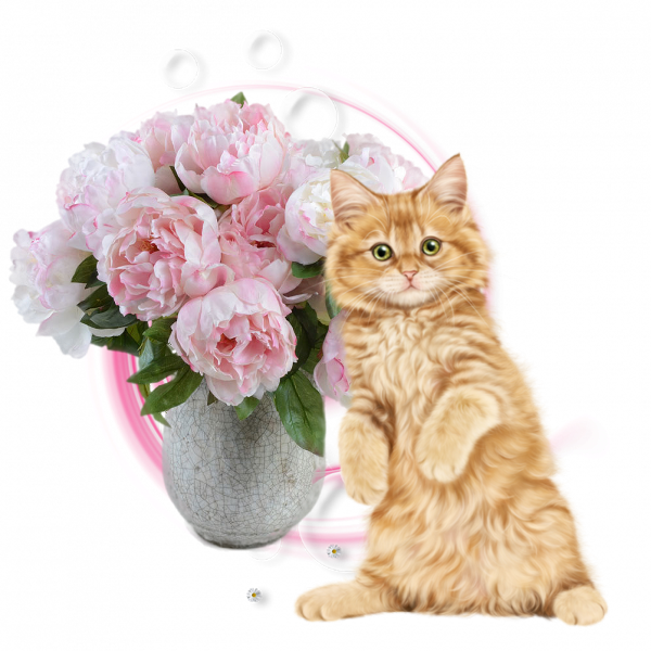 mon tube chat avec fleurs pour vos créas