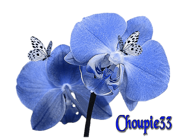 cadeau pour toi mon amie