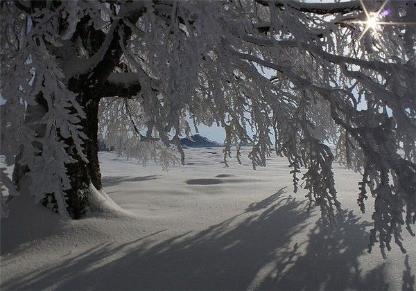 Paysage de neige