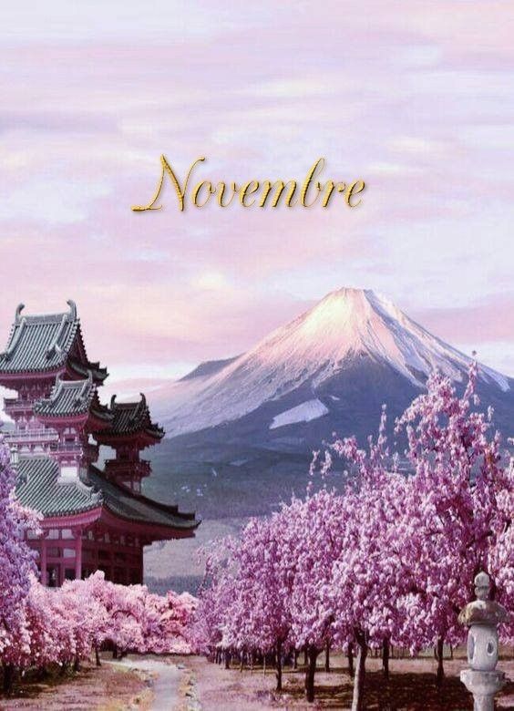 mois de novembre