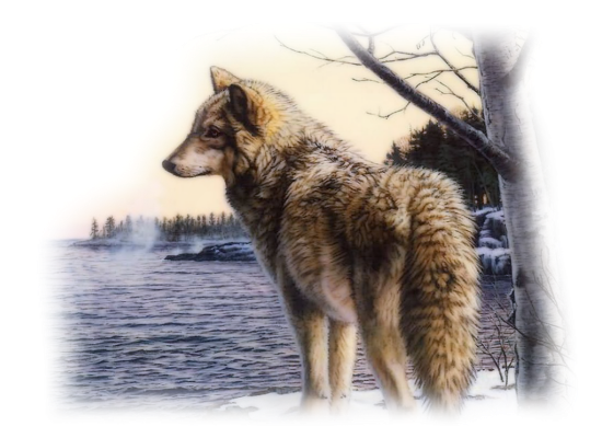 loup