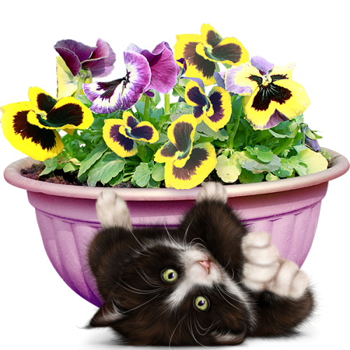 mon tube chat avec fleurs pour vos créas